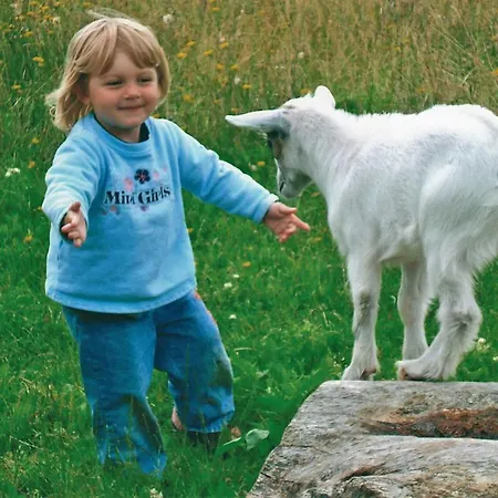 Ferienhaeuser Abild - Urlaub Auf Dem Bauernhof Gospodarstwo agroturystyczne Tarp