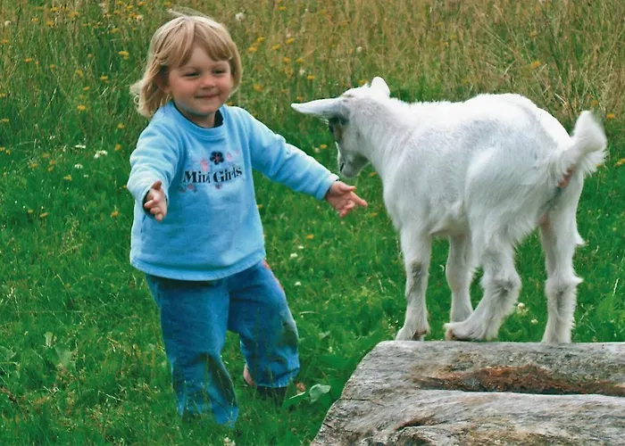 Ferienhaeuser Abild - Urlaub Auf Dem Bauernhof Alojamento de Turismo Rural Tarp